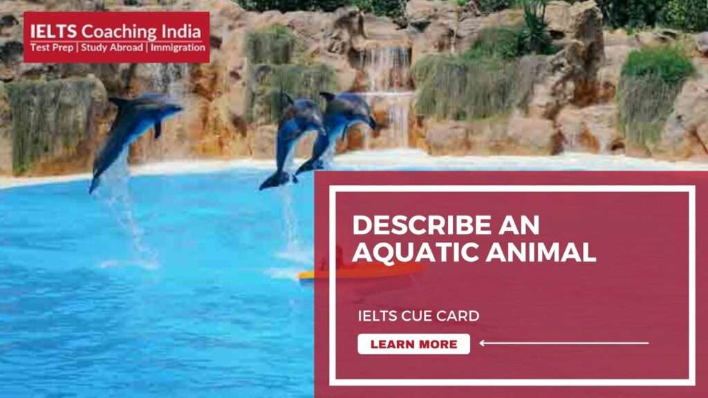 Describe an aquatic animal