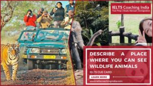 Read more about the article #194 DESCRIBE A PLACE WHERE YOU CAN SEE WILDLIFE ANIMALS