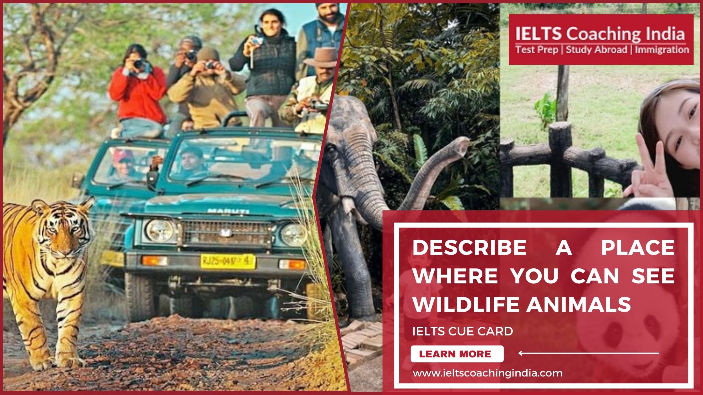 You are currently viewing #194 DESCRIBE A PLACE WHERE YOU CAN SEE WILDLIFE ANIMALS