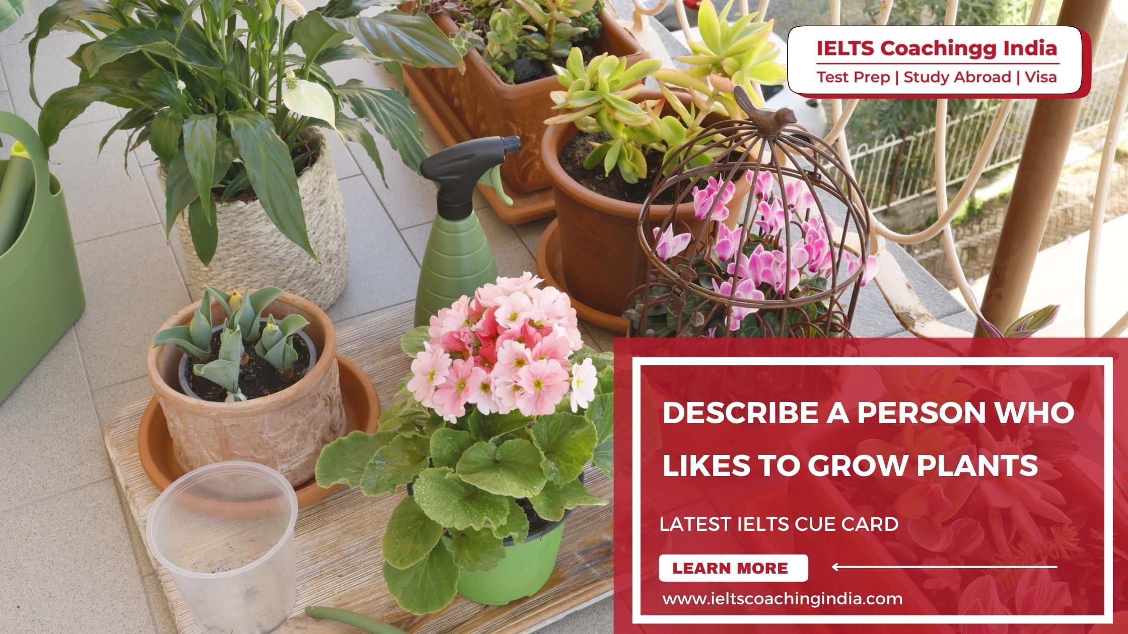 You are currently viewing Describe a person who likes to grow plants